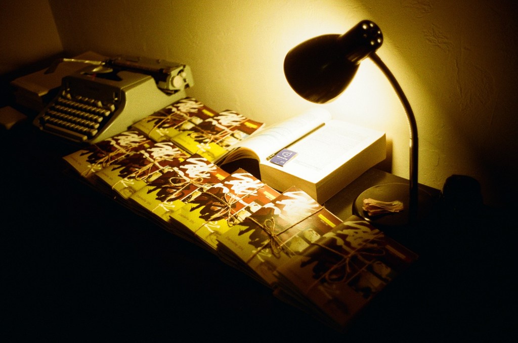 pandopticon 【熊猫之眼】